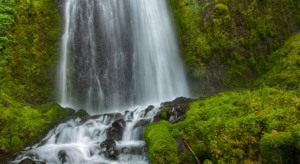 Sheppard's Dell Falls - Oregon State Parks