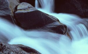 Johnson's Shut Ins in Missouri