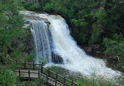 Swallow Falls in Maryland