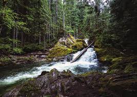 Big Devil Falls - Washington