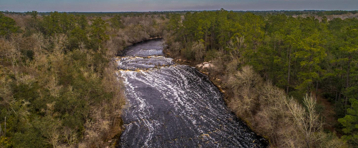 Big Shoals - Hamilton County Florida