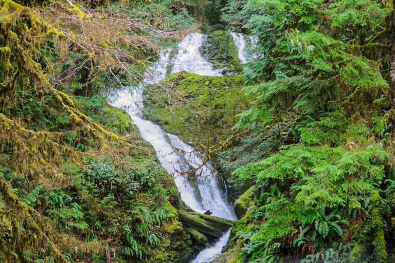 Bunch Creek Falls - Washington