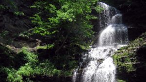 Cathedral Falls - West Virginia - Gauley Bridge