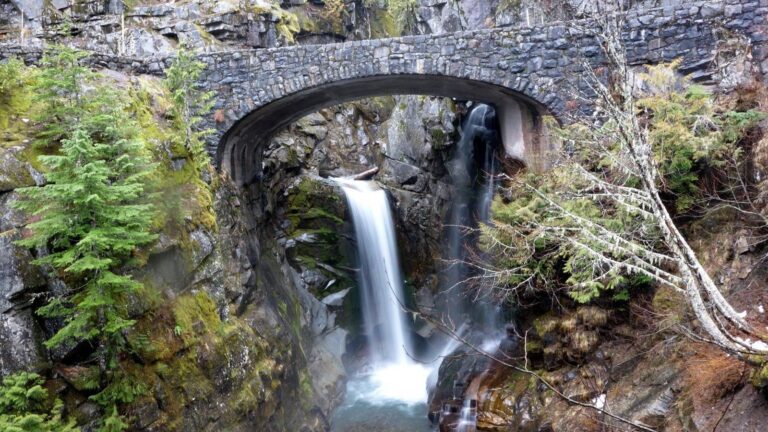 Christine Falls - Washington