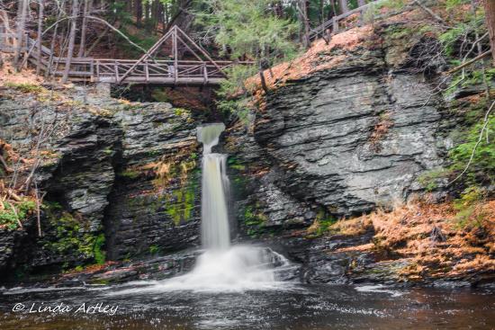Deer Leap Falls - Waterfall in Pennsylvania