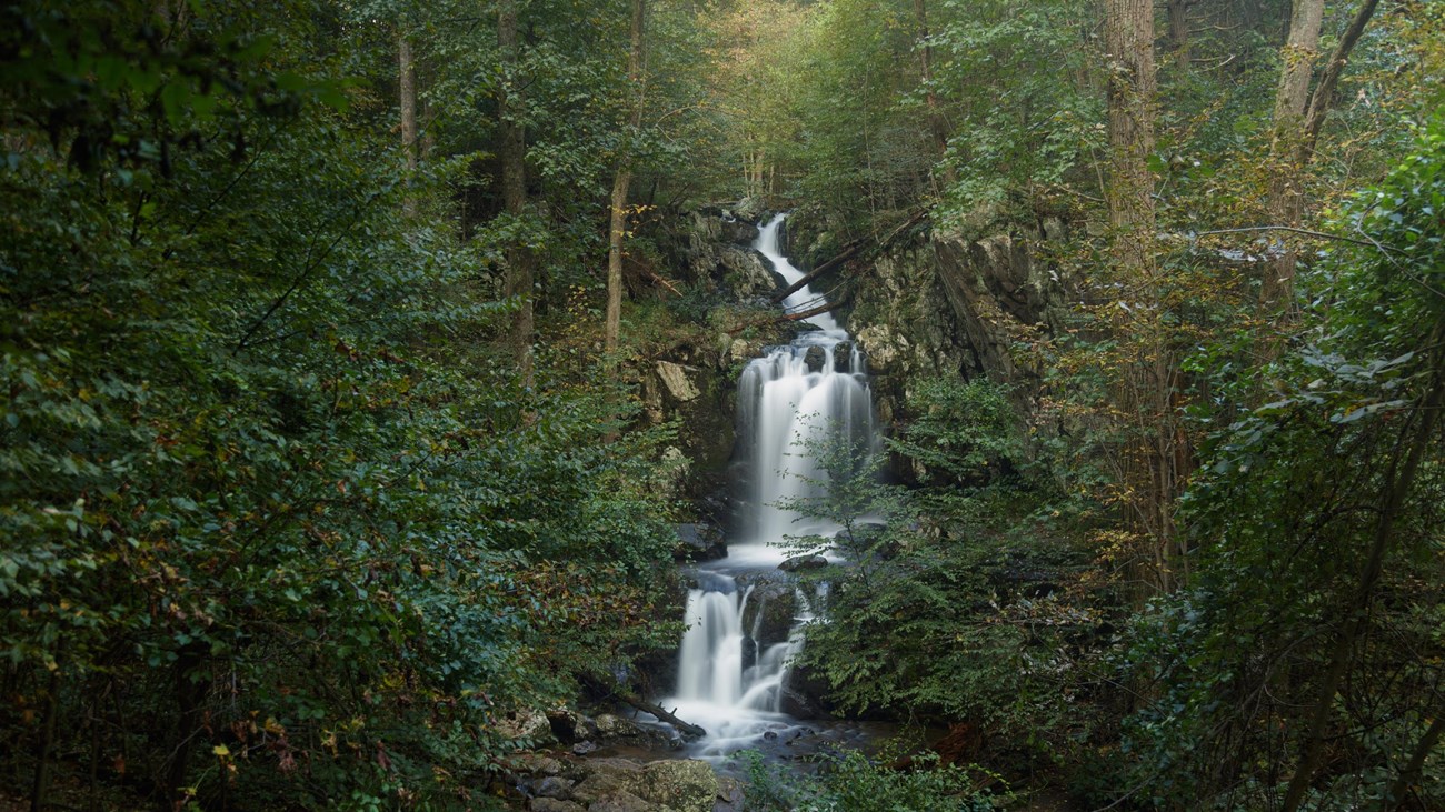 Doyles River Falls -Virginia- Skyline Drive