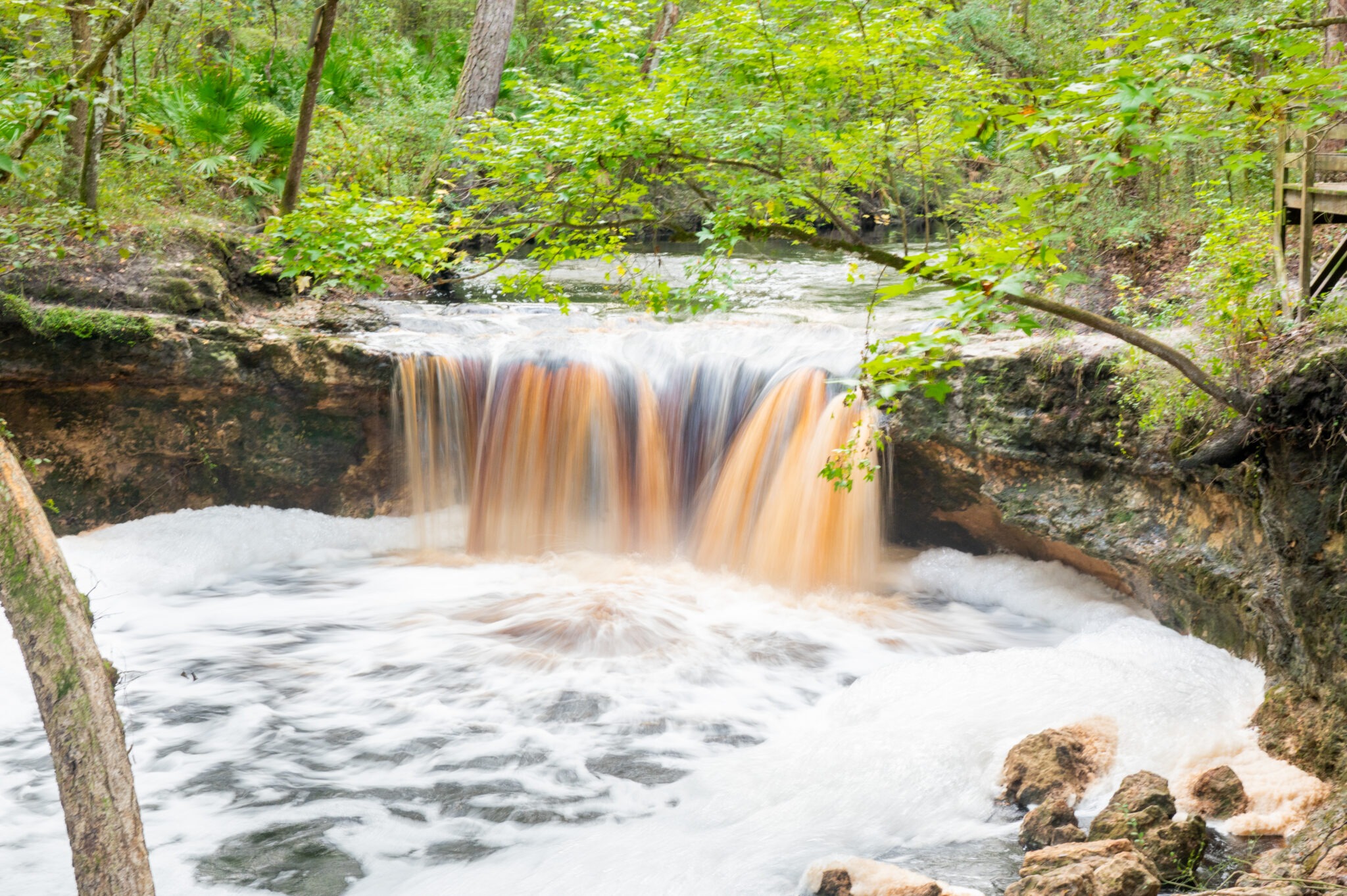 Falling Creek Falls | Florida Waterfall - Waterfalls Guide