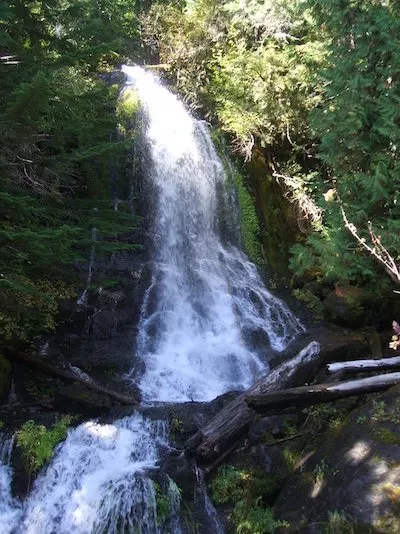 Falls Creek Falls - Washington