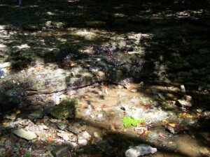 Hoffman Falls in Indiana