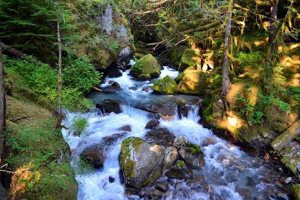 Ladder Creek Falls - Washington