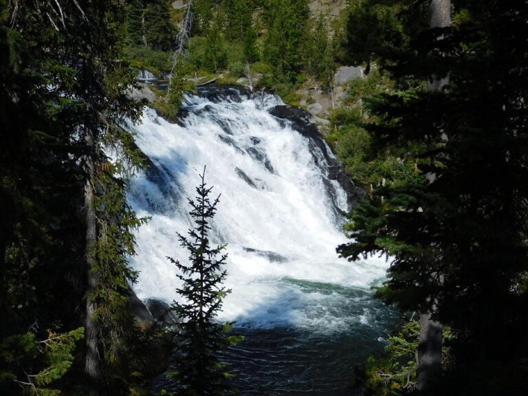 Lewis River Falls - Yellowstone National Park - Wyoming