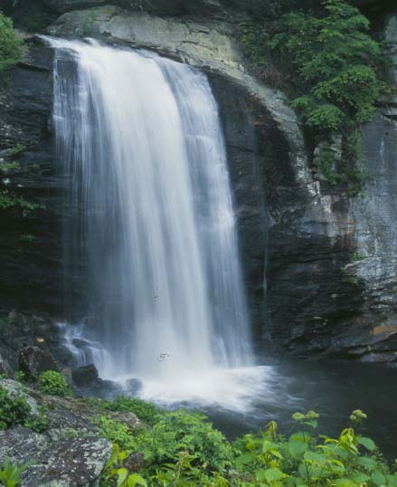 Looking Glass Falls - North Carolina