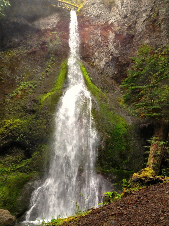 Marymere Falls - Washington