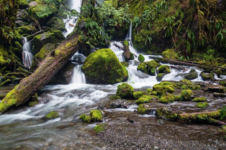 Merriman Falls - Washington