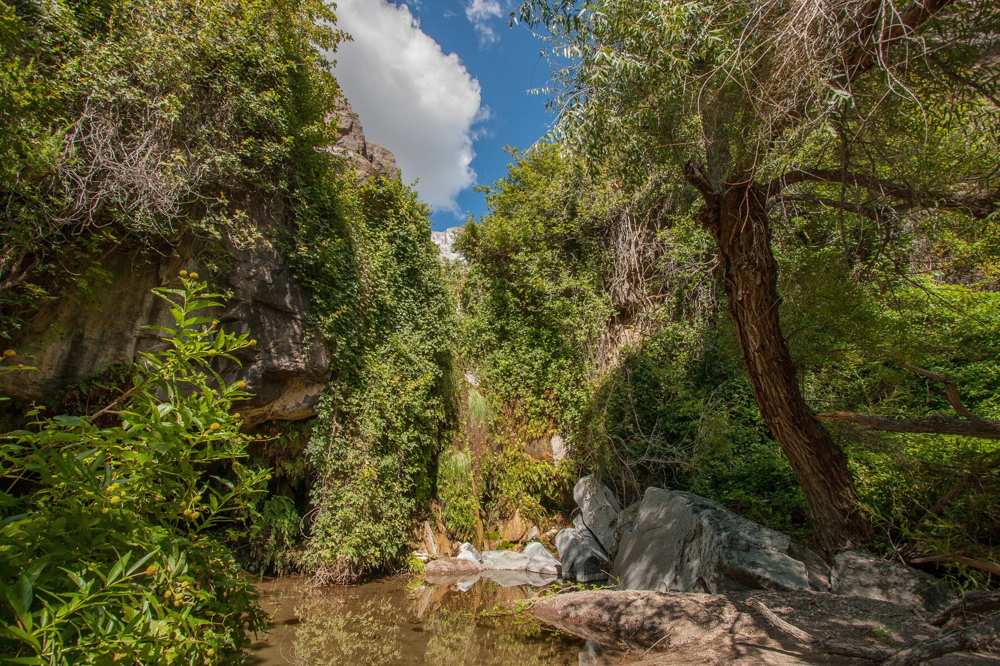 Ojito Adentro Waterfall - Texas Waterfall