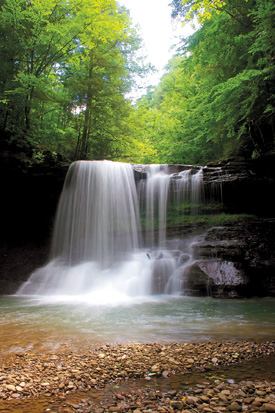 Peach Tree Falls -West Virginia- Naoma