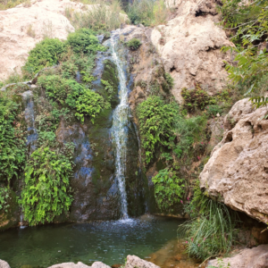 Sitting Bull Falls - New Mexico