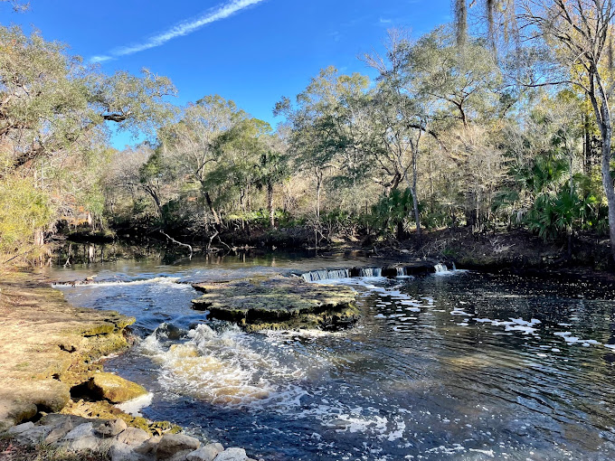 Steinhatchee Falls Florida