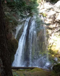 Sylvia Falls - Washington