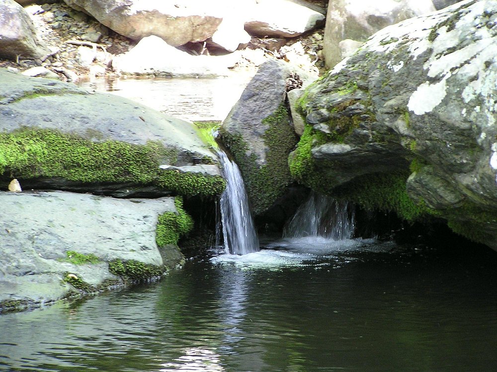 Whiteoak Falls -Virginia- Skyline Drive - 6 Falls